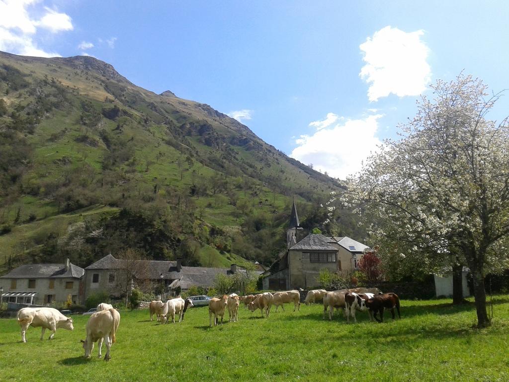 Lo Saunei Laruns Esterno foto